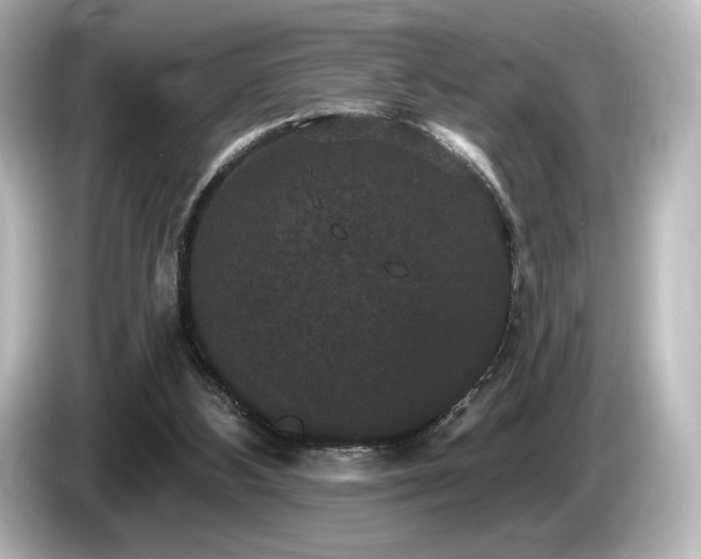X0000085760108200703161128