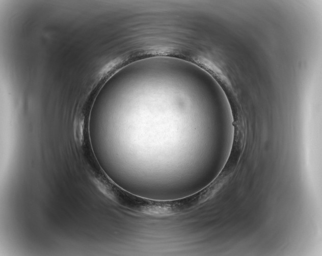 X0000085760110200703161127