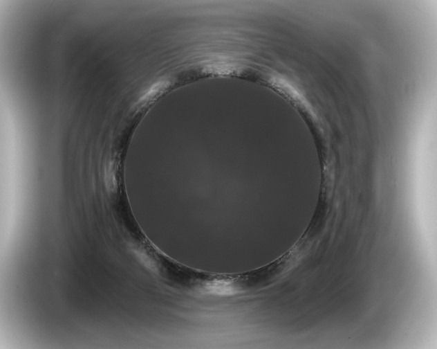 X0000085760114200703161127