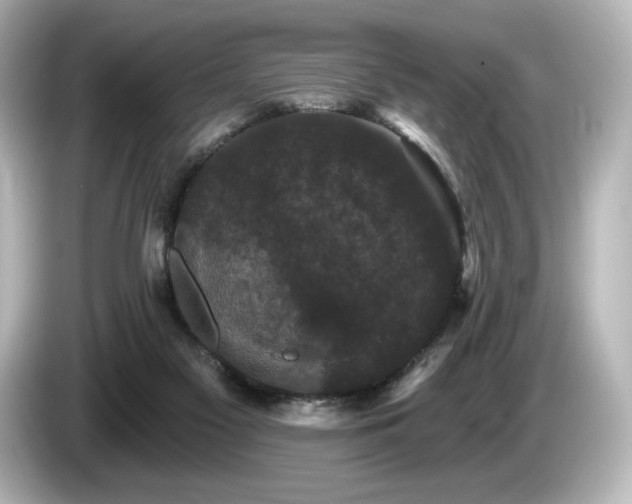 X0000085760117200703161127
