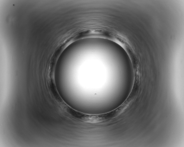 X0000085760121200703161127