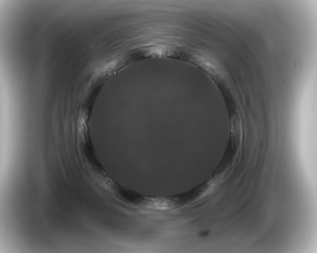X0000085760127200703161127