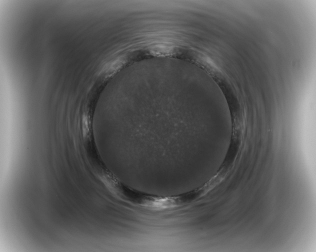 X0000085760130200703161127