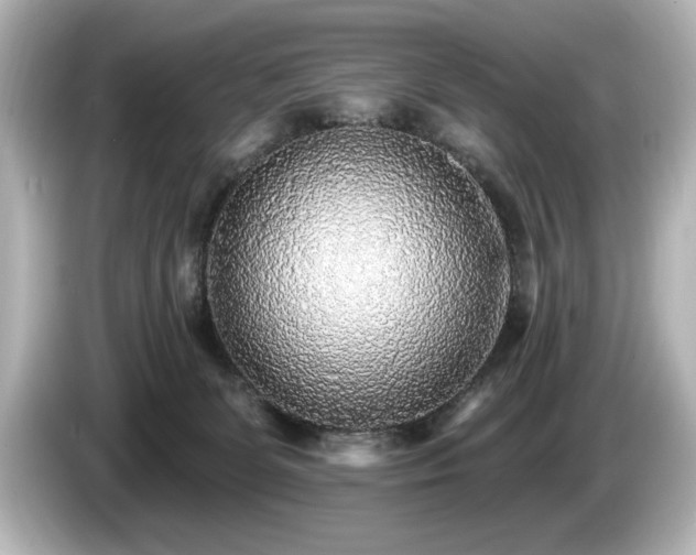 X0000085760131200703161127