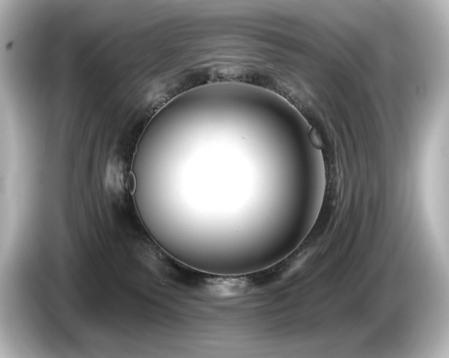 X0000085760135200703161127