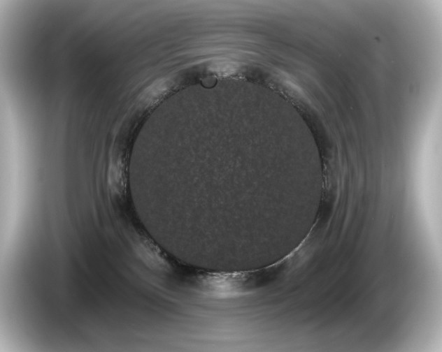 X0000085760136200703161127