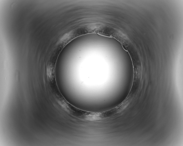 X0000085760138200703161127