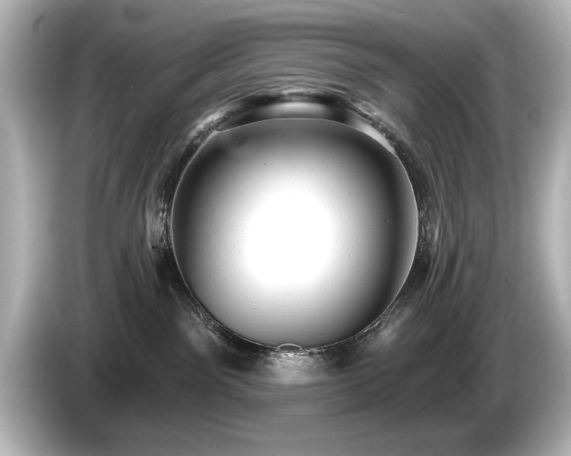 X0000085760141200703161127