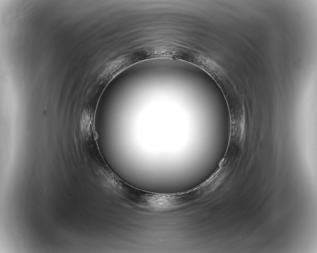 X0000085760142200703161127