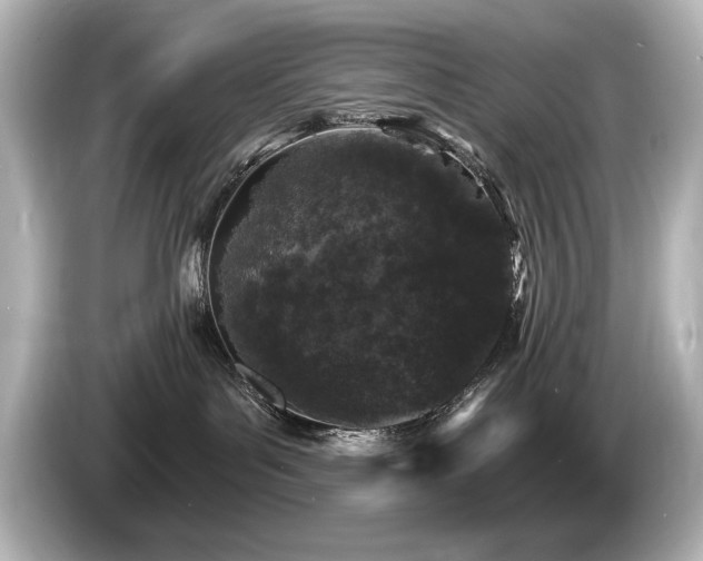 X0000085760143200703161127
