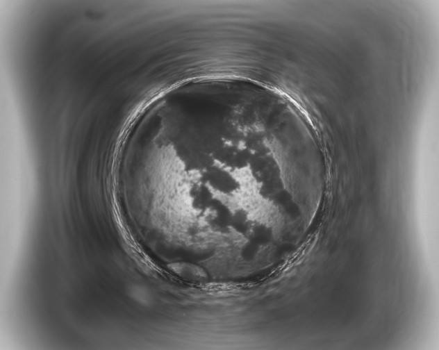 X0000085760145200703161126