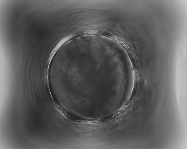 X0000085760147200703161126