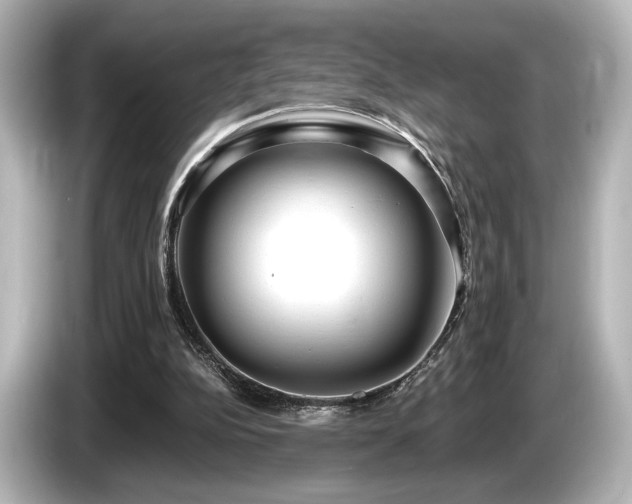 X0000085760152200703161126