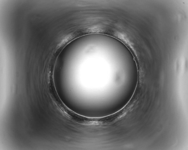 X0000085760153200703161126