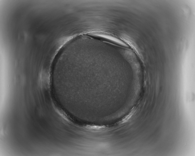 X0000085760156200703161126