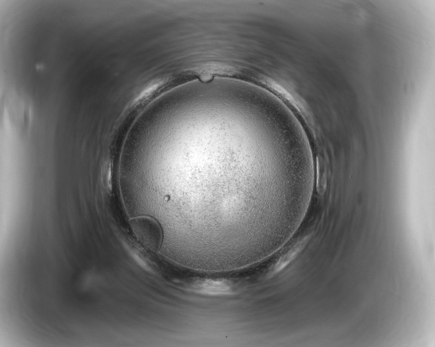 X0000085760157200703161126