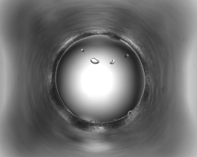 X0000085760159200703161126