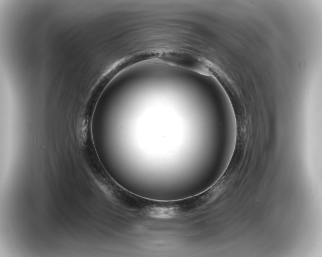 X0000085760160200703161126