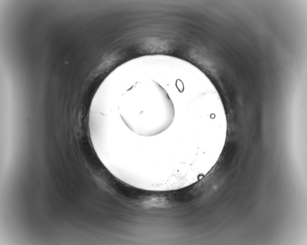 X0000085760162200703161126