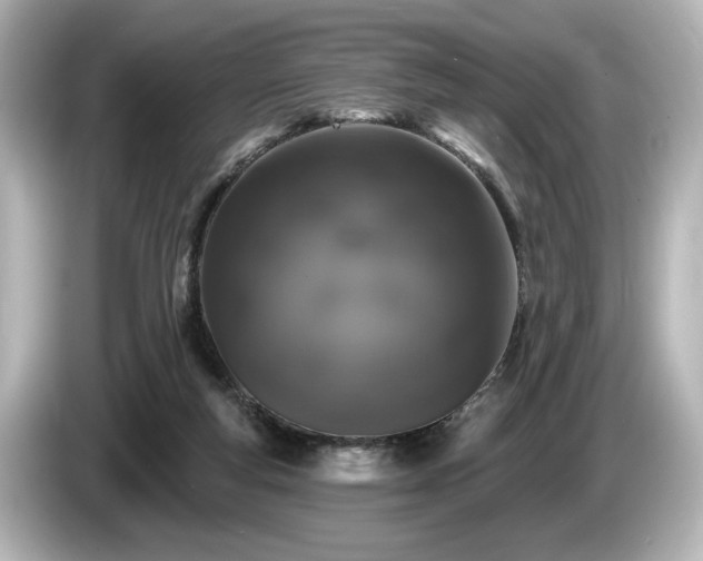 X0000085760163200703161127