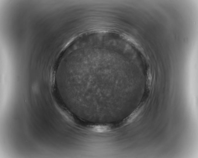 X0000085760168200703161127