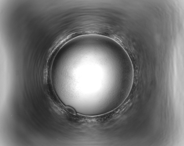 X0000085760194200703161126