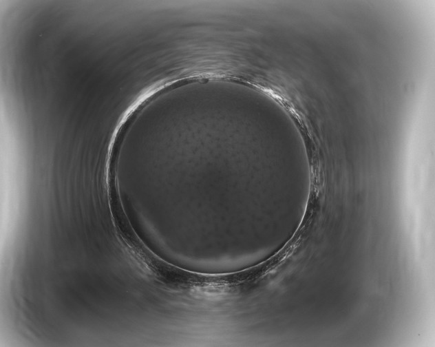 X0000085760196200703161126