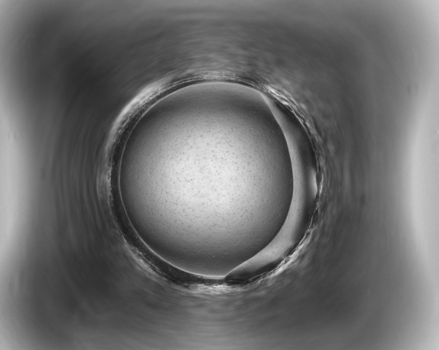 X0000085760197200703161126