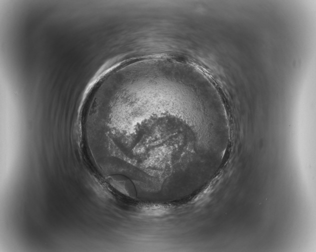 X0000085760198200703161126