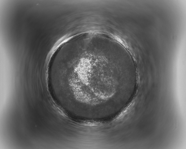 X0000085760199200703161126