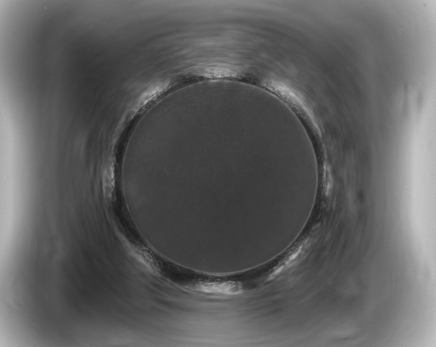 X0000085760202200703161126
