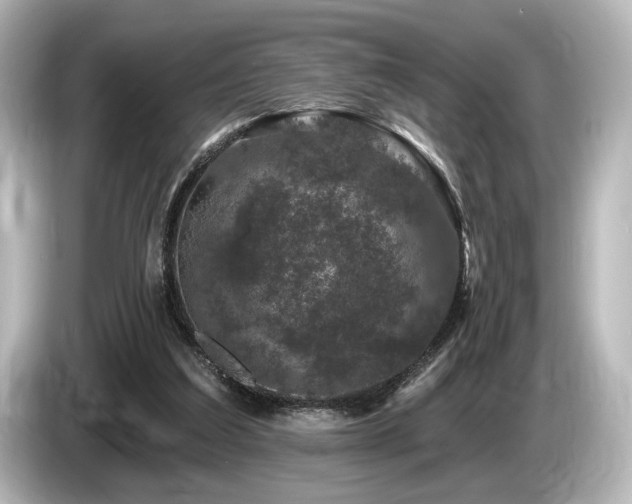 X0000085760203200703161126