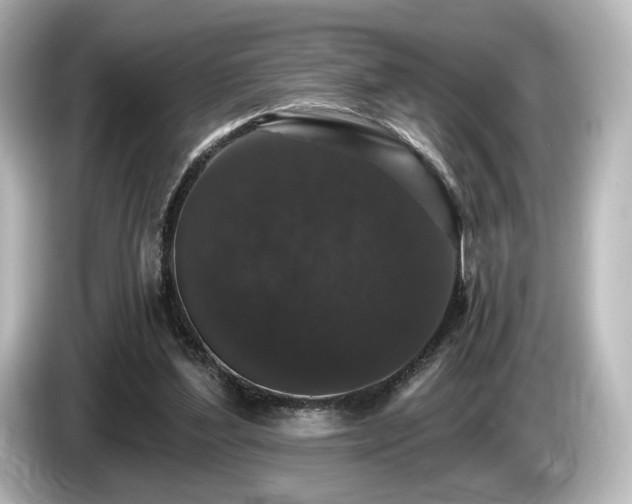 X0000085760204200703161126