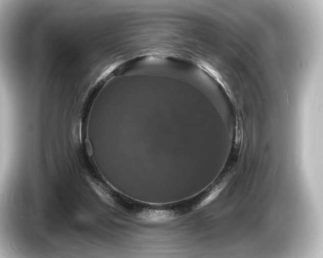 X0000085760205200703161126