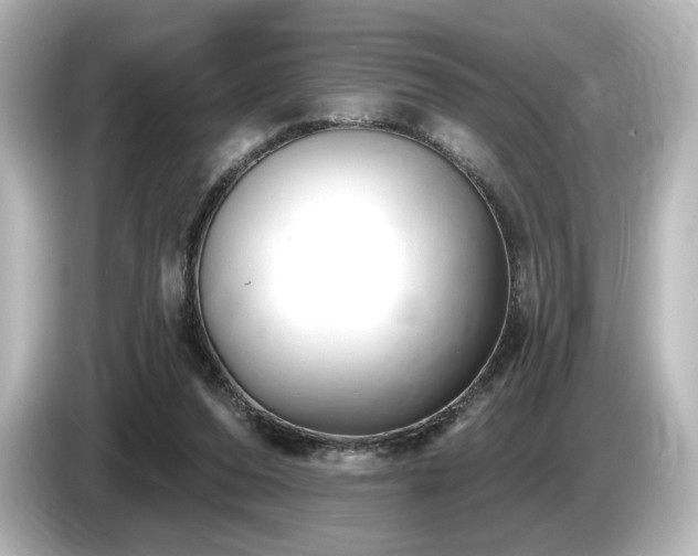 X0000085760208200703161126