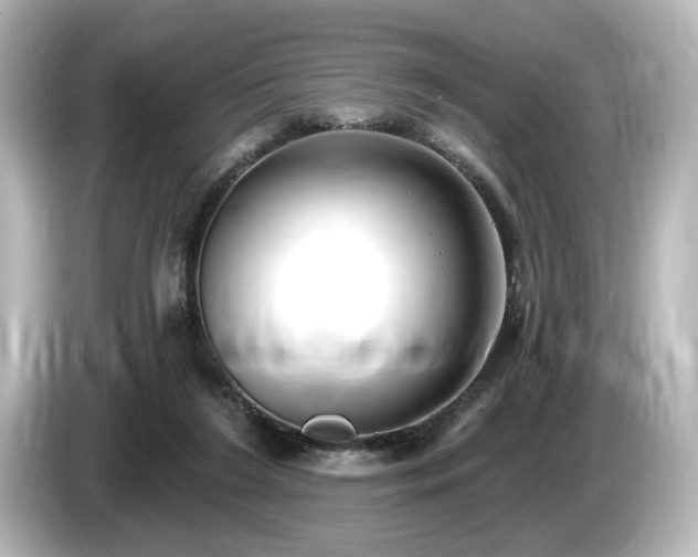 X0000085760212200703161126