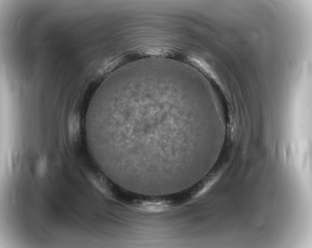 X0000085760213200703161126