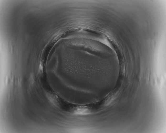 X0000085760214200703161126