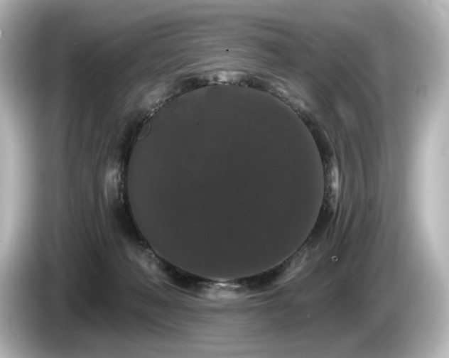 X0000085760222200703161126