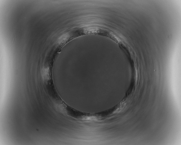 X0000085760224200703161126