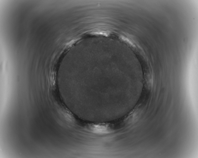 X0000085760232200703161126