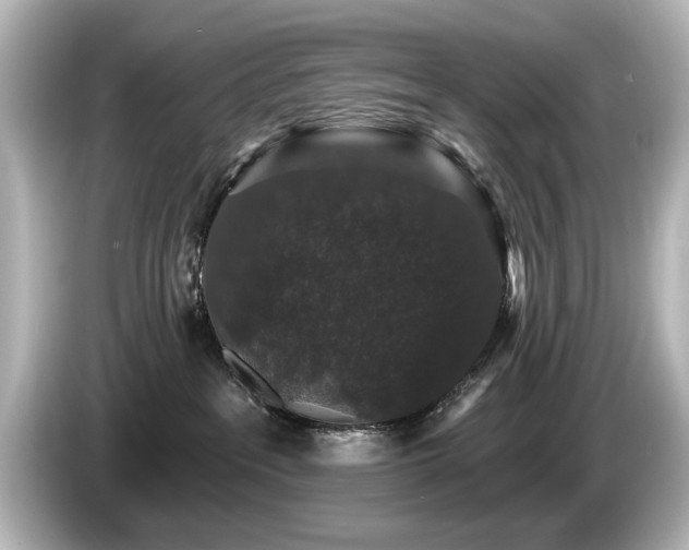 X0000085760237200703161126