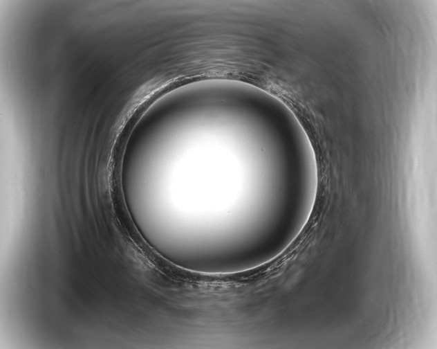 X0000085760242200703161125