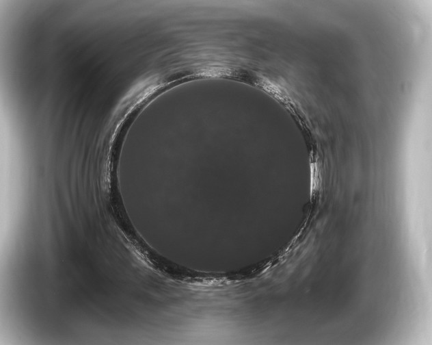 X0000085760243200703161125