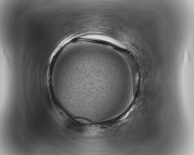 X0000085760244200703161125