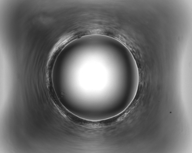 X0000085760245200703161125