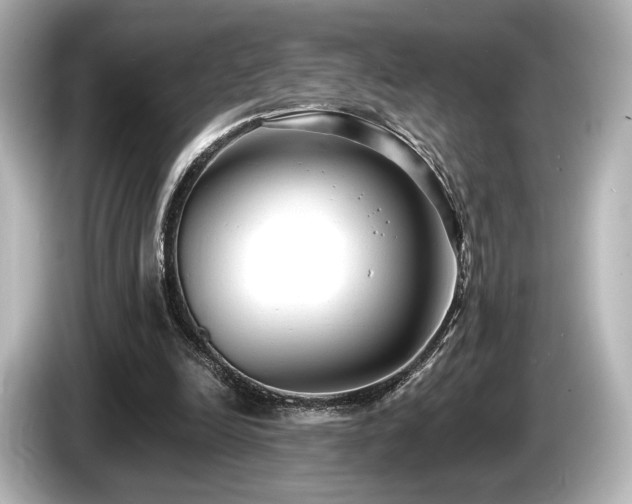 X0000085760246200703161125