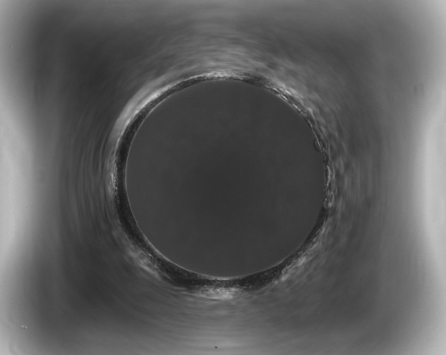 X0000085760247200703161125