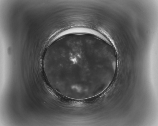 X0000085760249200703161125