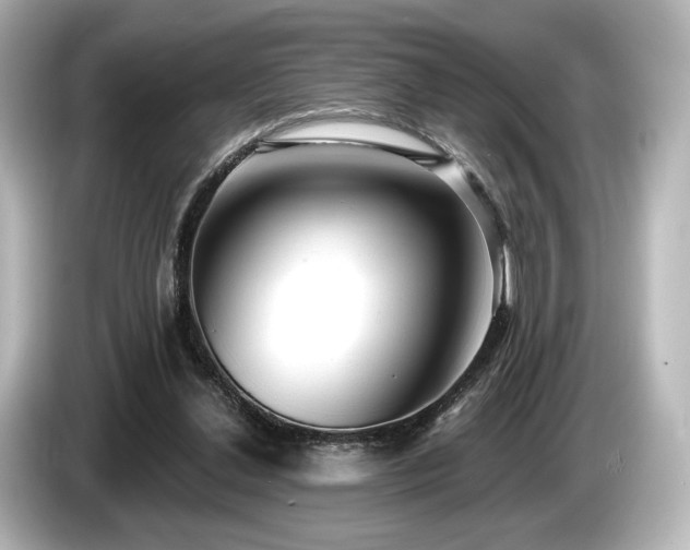 X0000085760252200703161125